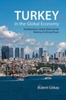 Turkey in the Global Economy : Neoliberalism, Global Shift and the Making of a Rising Power - Book