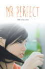 Mr Perfect - eBook
