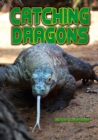 Catching Dragons - eBook