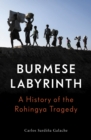 Burmese Labyrinth - eBook