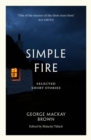Simple Fire - eBook