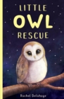 Little Owl Rescue - eBook