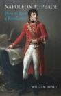Napoleon at Peace : How to End a Revolution - eBook