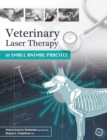 Veterinary Laser Therapy in Small Animal Practice - eBook