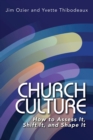 Church Culture : How to Assess It, Shift It, and Shape It - eBook