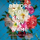 Before You Knew My Name : A Novel - eAudiobook