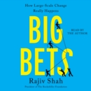 Big Bets : How Large-Scale Change Really Happens - eAudiobook