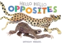 Hello Hello Opposites - Book