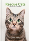 Rescue Cats : Portraits and Stories - Book