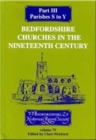 Bedfordshire Churches in the Nineteenth Century III - eBook