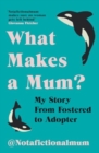 What Makes a Mum? : My Story From Fostered to Adopter - Book
