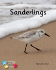 Sanderlings : Phonics Phase 4 - eBook