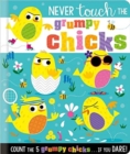 Never Touch the Grumpy Chicks - Book