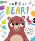 How Big is a Bear? - Book