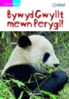 Cyfres Bling: Bywyd Gwyllt Mewn Perygl! - eBook