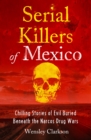 Serial Killers of Mexico : Chilling Stories of Evil Buried Beneath the Narco Drug Wars - eBook