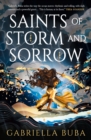 The Stormbringer Saga - Saints of Storm and Sorrow - Book