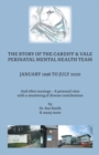 The Story of the Cardiff and Vale Perinatal Mental Health Team January 1998 - July 2020 - eBook