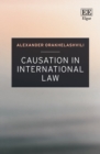 Causation in International Law - eBook