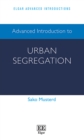 Advanced Introduction to Urban Segregation - eBook