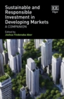 Sustainable and Responsible Investment in Developing Markets : A Companion - eBook