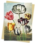 Temple of Flora: Tulips Greeting Card Pack : Pack of 6 - Book