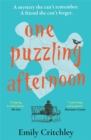 One Puzzling Afternoon : The most compelling, heartbreaking debut mystery - Book