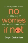No Worries If Not : A Funny(ish) Story of Growing Up Working Class and Queer - eBook