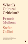 What Is Cultural Criticism? - eBook