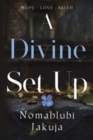 A Divine Set Up - Book