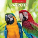 Parrots 2024 Square Wall Calendar - Book