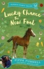 Lucky Chance the New Foal - eBook