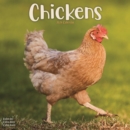 Chickens Calendar 2024  Square Farm Animals & Birds Wall Calendar - 16 Month - Book