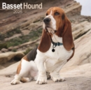 Basset Hound Calendar 2025 Square Dog Breed Wall Calendar - 16 Month - Book