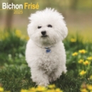 Bichon Frise Calendar 2025 Square Dog Breed Wall Calendar - 16 Month - Book