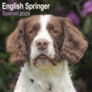 English Springer Spaniel (Euro) Calendar 2025 Square Dog Breed Wall Calendar - 16 Month - Book