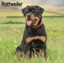 Rottweiler Calendar 2025 Square Dog Breed Wall Calendar - 16 Month - Book