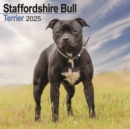 Staffordshire Bull Terrier Calendar 2025 Square Dog Breed Wall Calendar - 16 Month - Book