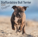 Staffordshire Bull Terrier Puppies Calendar 2025 Square Dog Puppy Breed Wall Calendar - 16 Month - Book