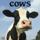 Cows Calendar 2025 Square Farm Animal Wall Calendar - 16 Month - Book