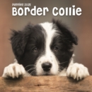 Border Collie Puppies Square Mini Calendar 2025 - Book