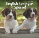 English Springer Spaniel Puppies Square Mini Calendar 2025 - Book