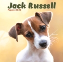 Jack Russell Puppies Square Mini Calendar 2025 - Book