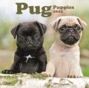 Pug Puppies Square Mini Calendar 2025 - Book