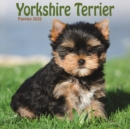 Yorkshire Terrier Puppies Square Mini Calendar 2025 - Book