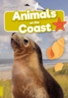 Animals on the Coast - Book