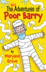 The Misadventures of Poor Barry - Book