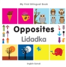 My First Bilingual Book-Opposites (English-Somali) - eBook