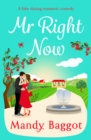Mr Right Now : An uplifting, heart-warming read from top 20 bestseller Mandy Baggot for summer 2024 - eBook