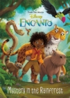 Disney Encanto: Mystery in the Rainforest - Book